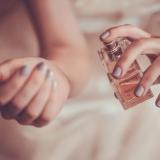 ֳ�������� ��� ������: �� ������� �������� ������������ 2026�����