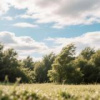������ �� ���: ��� ���������� ���������� ��-��������� �������, ��� � ����� ������