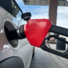 �������� �� ����� ������ ����Ѡ� ������������