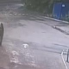 ������� �������� ������� ��&nbsp;���&nbsp;�&nbsp;�����������